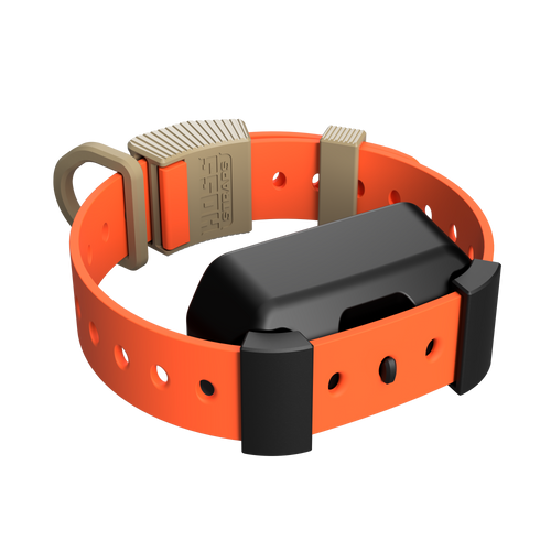 Training Collar Setup